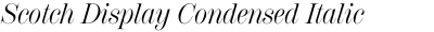 Scotch Display Condensed Italic